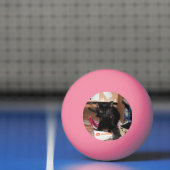 Balle De Ping Pong Cat (Filet)
