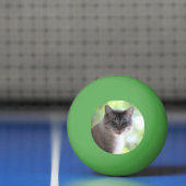 Balle De Ping Pong Cat (Filet)