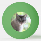 Balle De Ping Pong Cat (Dos)