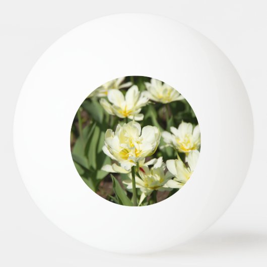 Balle De Ping Pong Champ de tulipes blanches (Devant)