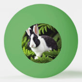 Balle De Ping Pong "Charme classique : le lapin lapin noir et blanc" (Devant)