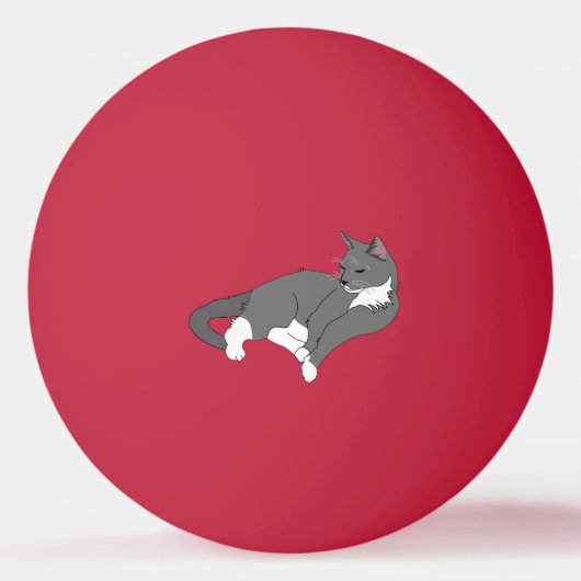 Balle De Ping Pong Chat gris et blanc Tuxedo (Devant)