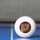 Balle De Ping Pong chat noir (Filet)