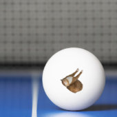 Balle De Ping Pong Chat Soleil à l'Envers (Filet)