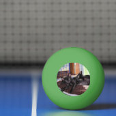 Balle De Ping Pong Chatons (Filet)