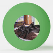 Balle De Ping Pong Chatons (Dos)