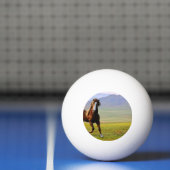 Balle De Ping Pong Cheval (Filet)
