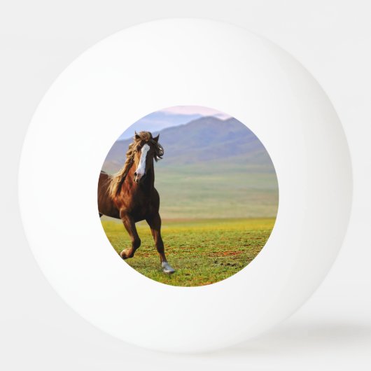 Balle De Ping Pong Cheval (Devant)