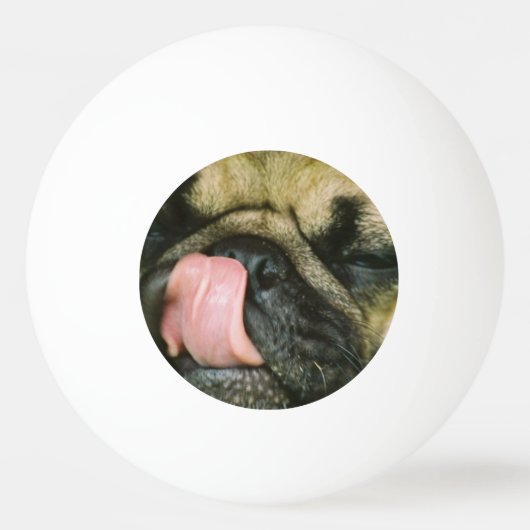 Balle De Ping Pong Chien de carlin (Devant)