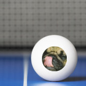 Balle De Ping Pong Chien de carlin (Filet)