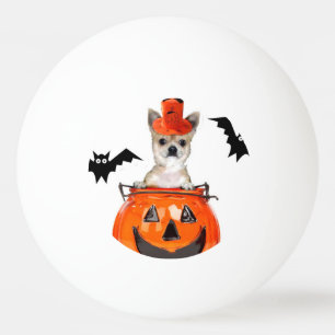 Balle De Ping Pong Chien de chiwawa de Halloween