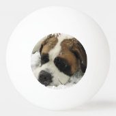 Balle De Ping Pong Chien de St Bernard (Dos)