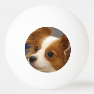 Balle De Ping Pong Chien mignon de Papillon