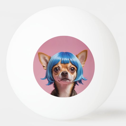Balle De Ping Pong Chihuahua wig (Devant)