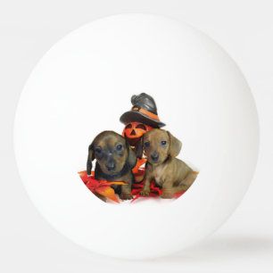 Balle De Ping Pong Chiots de teckel de Halloween