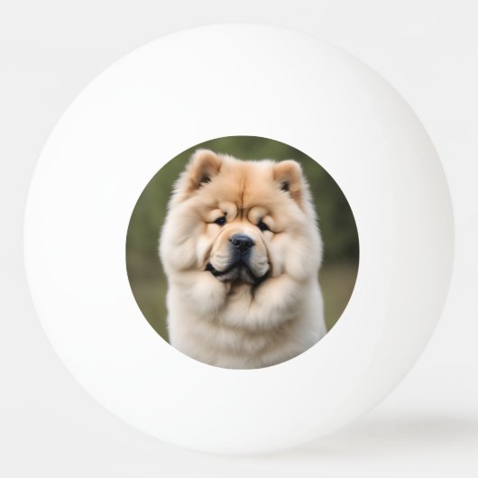 Balle De Ping Pong Chow Chow (Devant)