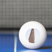 Balle De Ping Pong Construction de Flatiron (Filet)