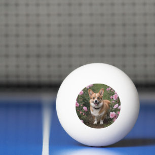 Balle De Ping Pong Corgi dans les roses roses,