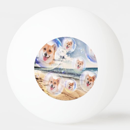 Balle De Ping Pong Corgis de plage (Devant)