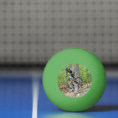 Balle De Ping Pong Course VTT Enduro (Filet)