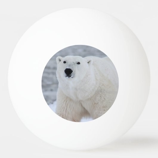 Balle De Ping Pong Créez votre propre photo personnalisée (Devant)
