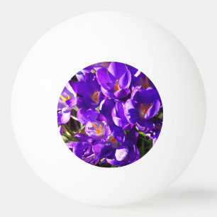 BALLE DE PING PONG CROCUS DE PRINTEMPS