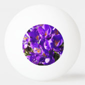 BALLE DE PING PONG CROCUS DE PRINTEMPS (Dos)