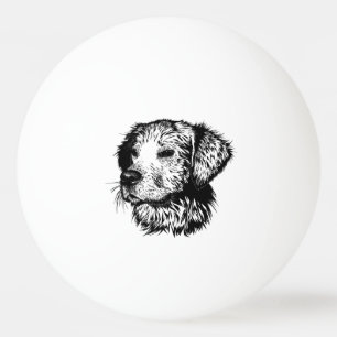 Balle De Ping Pong Croquis en tête de canine