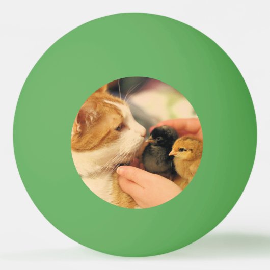 Balle De Ping Pong Cubes (Devant)