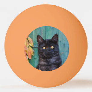 Balle De Ping Pong Cute chaton noir avec porte bleue Feuille rouge **