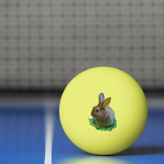 Balle De Ping Pong Cute little bunny (Filet)