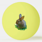 Balle De Ping Pong Cute little bunny (Devant)