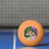 Balle De Ping Pong Déjeuner monarque (Filet)