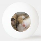 Balle De Ping Pong Déplacer vers Bob (Dos)