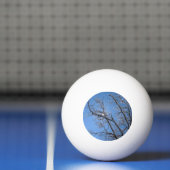 Balle De Ping Pong Des arbres couverts de neige glacée (Filet)