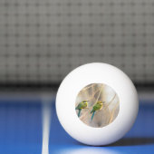 Balle De Ping Pong Deux Bee-eaters (Filet)