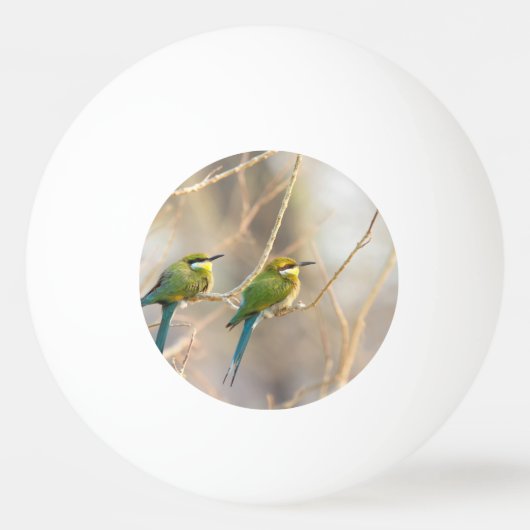 Balle De Ping Pong Deux Bee-eaters (Dos)