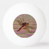 Balle De Ping Pong Dragonfly (Devant)