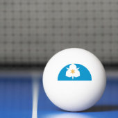 Balle De Ping Pong Drapeau de Salt Lake City, Utah (Filet)