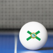 Balle De Ping Pong Drapeau d'Hollywood, Floride (Filet)