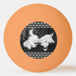 Balle De Ping Pong duveteux vers le bas