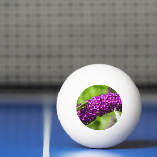 Balle De Ping Pong énergie katydone