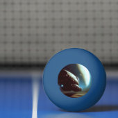 Balle De Ping Pong Espace orbitant SF (1) (Filet)