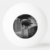 Balle De Ping Pong Falln Cemetery Crow (Dos)