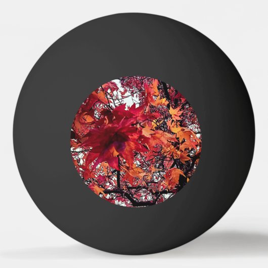 Balle De Ping Pong Feuille rouge et orange (Devant)