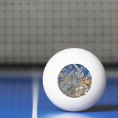 BALLE DE PING PONG FLEUR DE L'ARBRE (Filet)