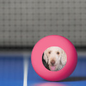 Balle De Ping Pong Fuzzy (Filet)