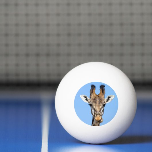 Balle De Ping Pong Giraffe (Filet)