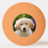 Balle De Ping Pong Golden Retriever Chien Chien Chien Chien Chien Chi (Devant)