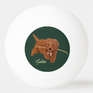 Balle De Ping Pong Goldie Golden Doodle